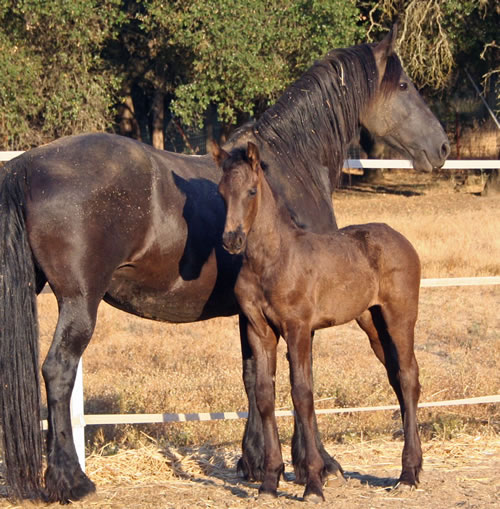 Carre and her Mom, Trude - August 3, 2008